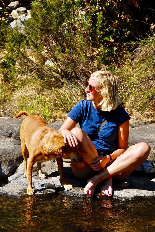 Joy River Backpackers Moremela المظهر الخارجي الصورة